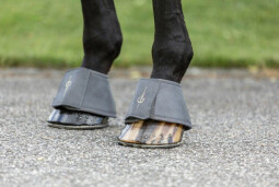 Zvony S/S 2023 - Light Graphite PONY 